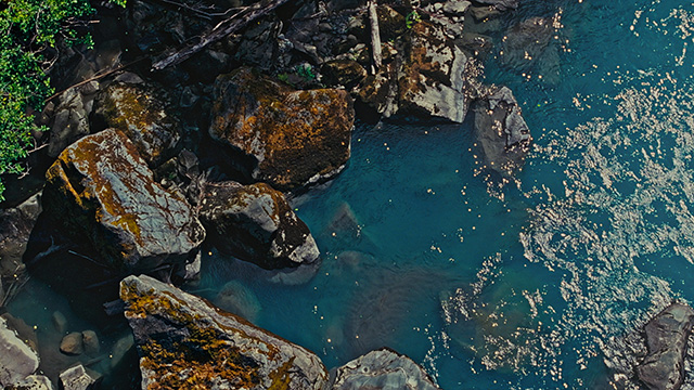 Download a zipped file of promotional materials in the Additional Assets section below.